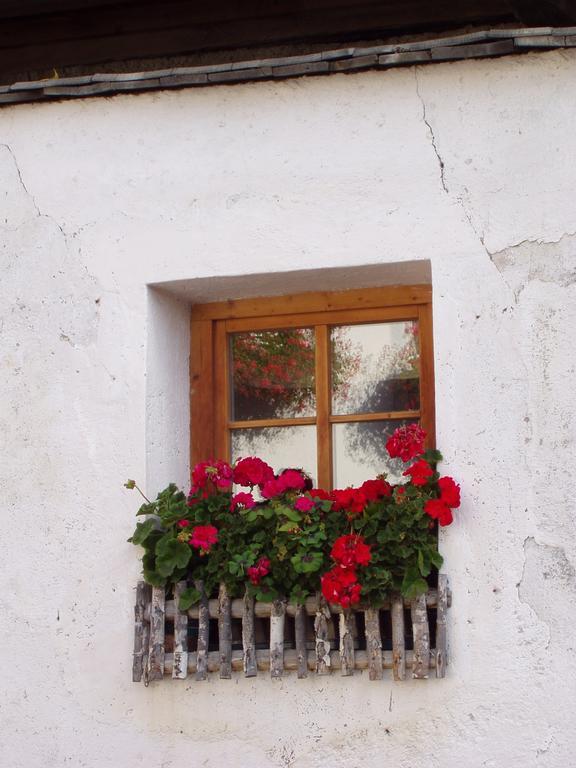 Apartmán Mansarda Dolomiti Rasun di Sopra Exteriér fotografie