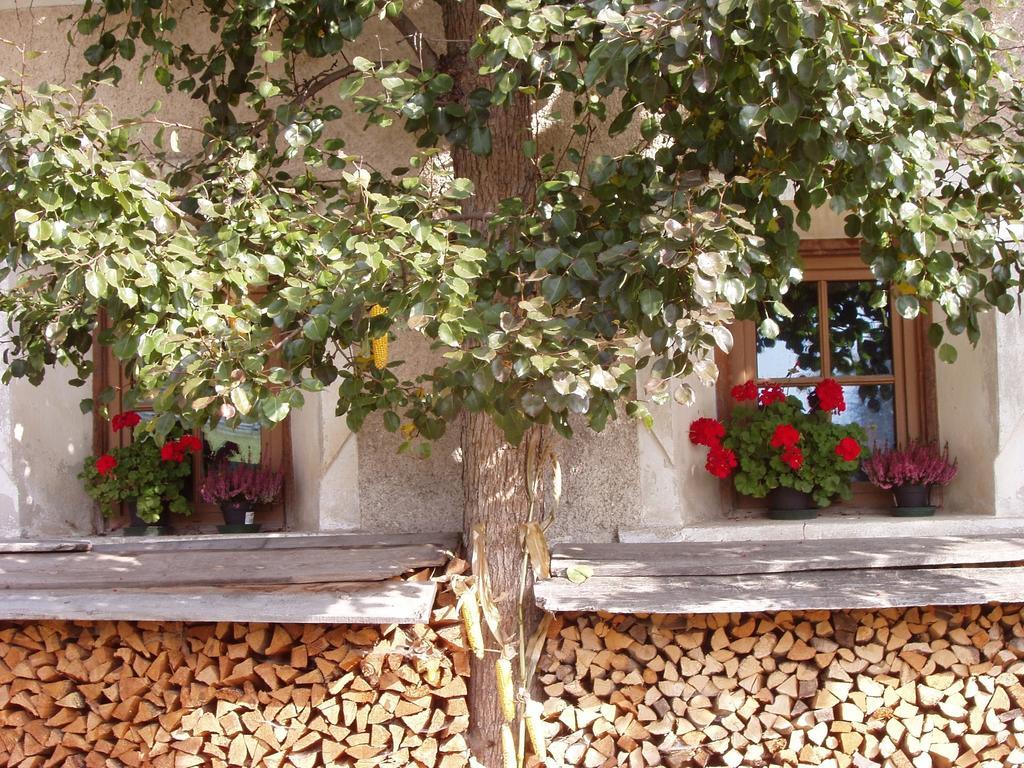Apartmán Mansarda Dolomiti Rasun di Sopra Exteriér fotografie